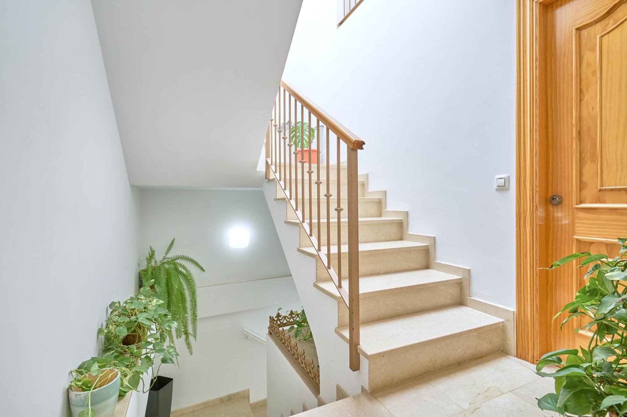 Apartamento Fernandita เนร์คา ภายนอก รูปภาพ